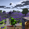 Minecraft-Server (neue Welt)