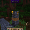 Minecraft-Server (neue Welt)